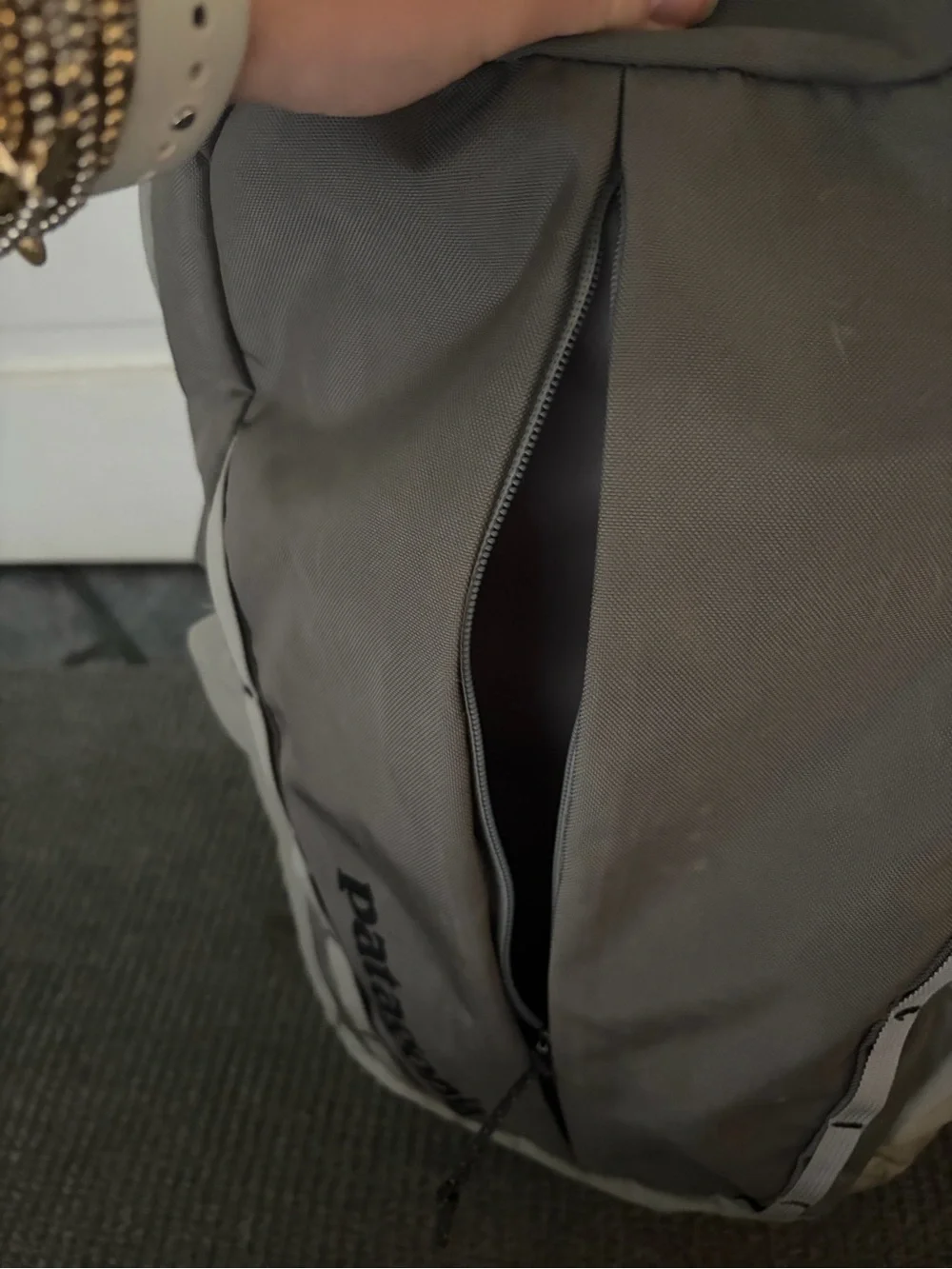 Patagonia Backpack 30L